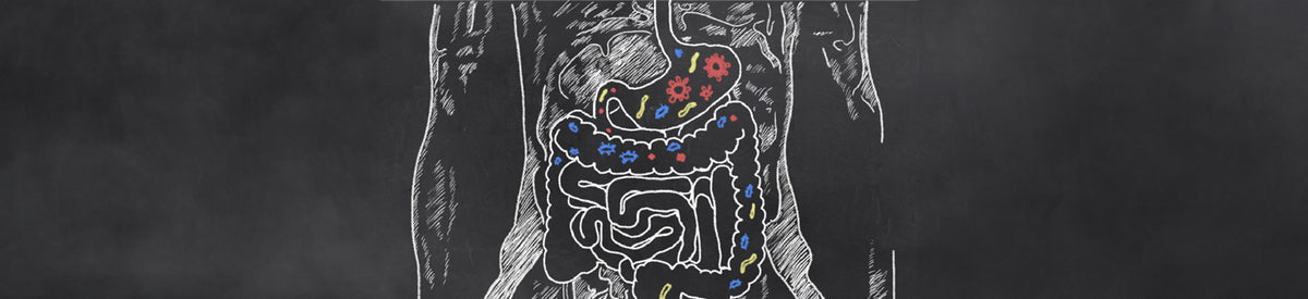 Unhealthy Gut? Here’s What to Do About It