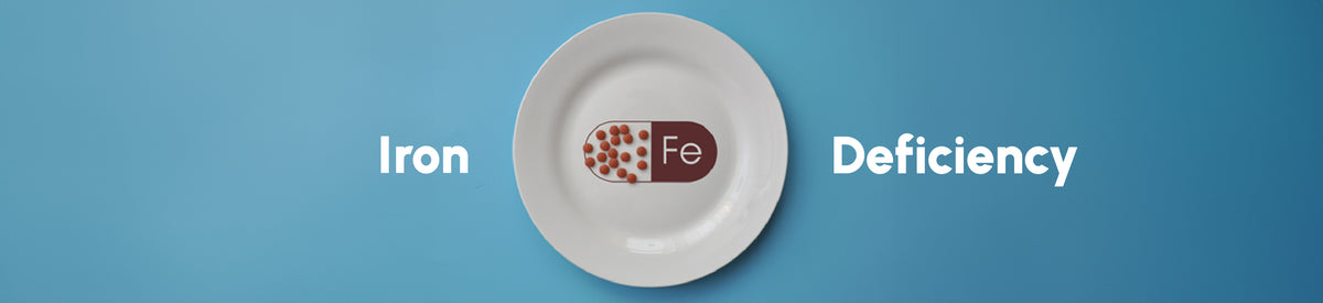 The Importance of Iron As We Age: Intake, Health Benefits and More