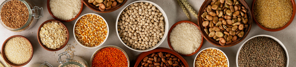 Why Should We Not Skip Consuming Protein as We Age