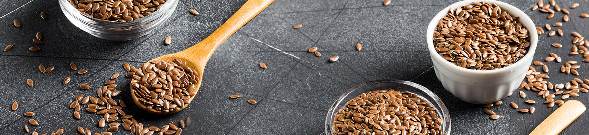 Top Flax Seeds Benefits for Your Daily Wellness