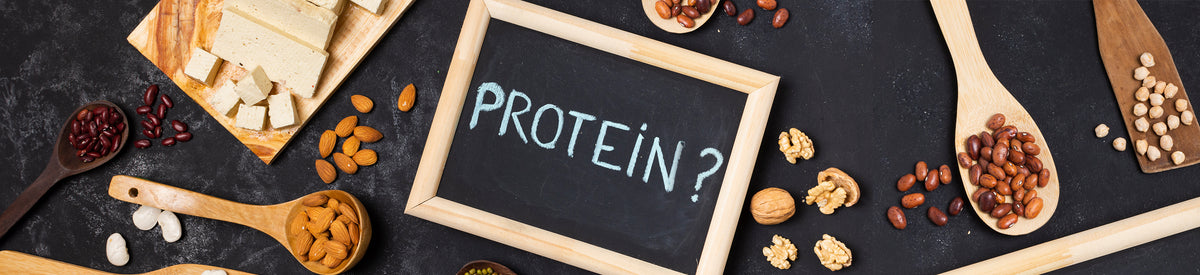 Daily Recommended Amount of Protein You Should Know