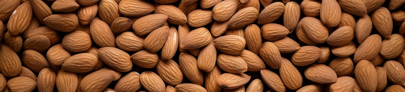 The Ultimate Guide to Almond Benefits & Nutritional Value