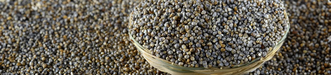 Bajra 101: Why You Should Include Bajra in Your Diet as You Age