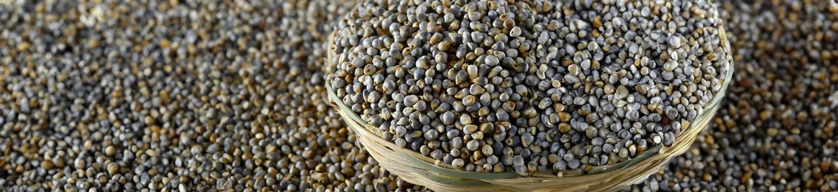 Bajra 101: Why You Should Include Bajra in Your Diet as You Age