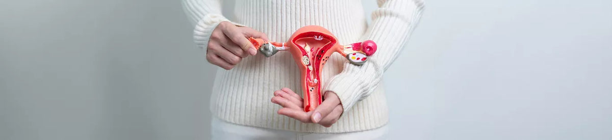Menopause Diet: How Food Can Help You Navigate This Natural Phase