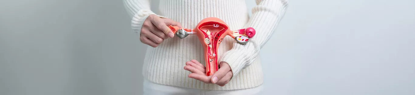 Menopause Diet: How Food Can Help You Navigate This Natural Phase