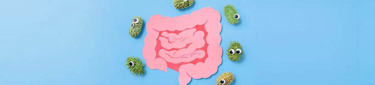 Probiotics vs Prebiotics: What Your Gut Really Needs