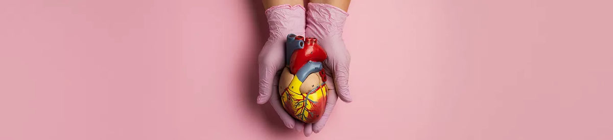 Does Lifestyle Management Lower Your Cholesterol?