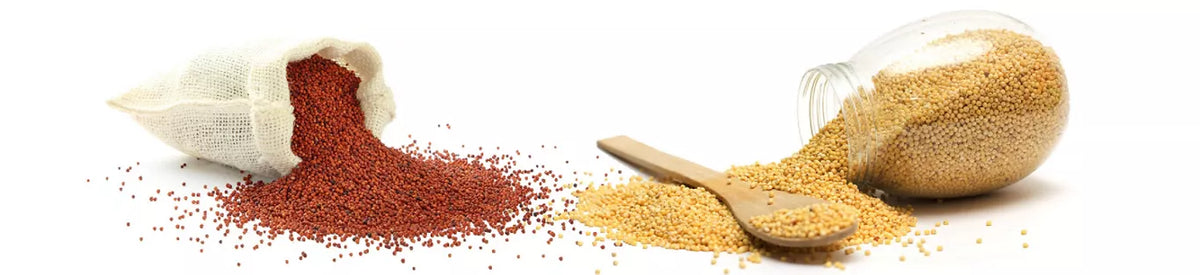 What is Millet? Types and Health Benefits Explained