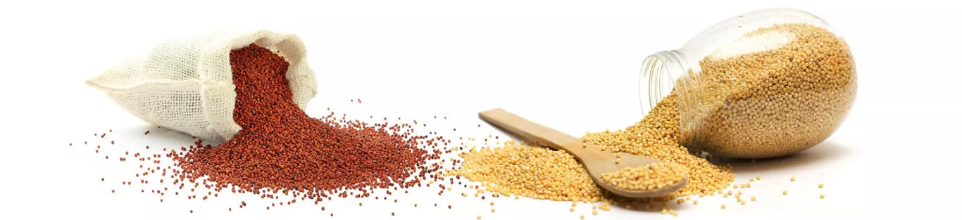 What is Millet? Types and Health Benefits Explained