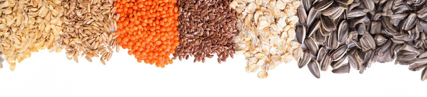 What Are Prebiotics & How They Help Your Body