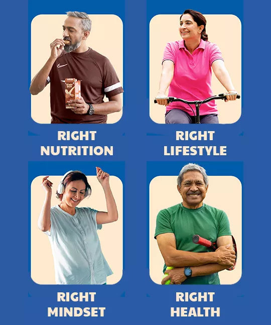 Meal plan curator